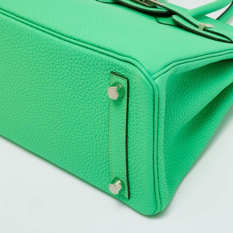 Hermès Vert Comic Togo Leather Palladium Finish Birkin 25 Bag