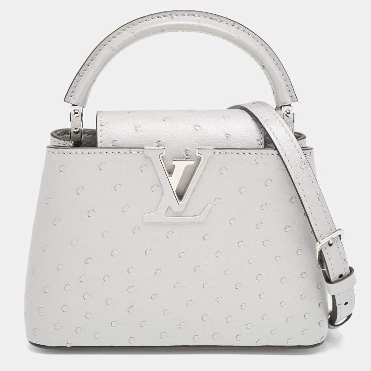 Louis Vuitton Capucines Mini Grey