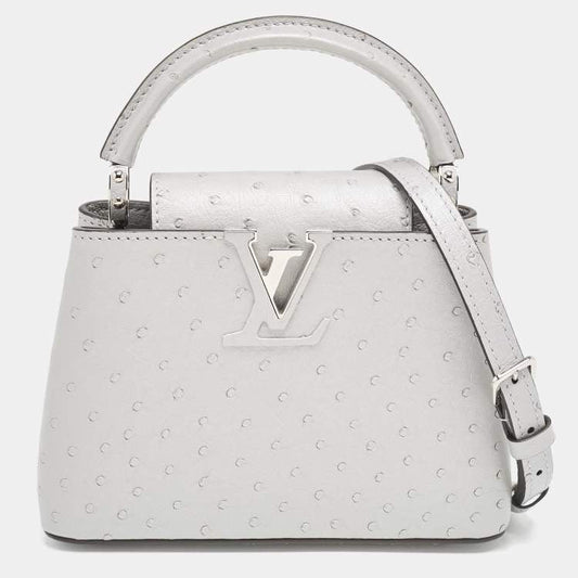 Louis Vuitton Capucines Mini Grey