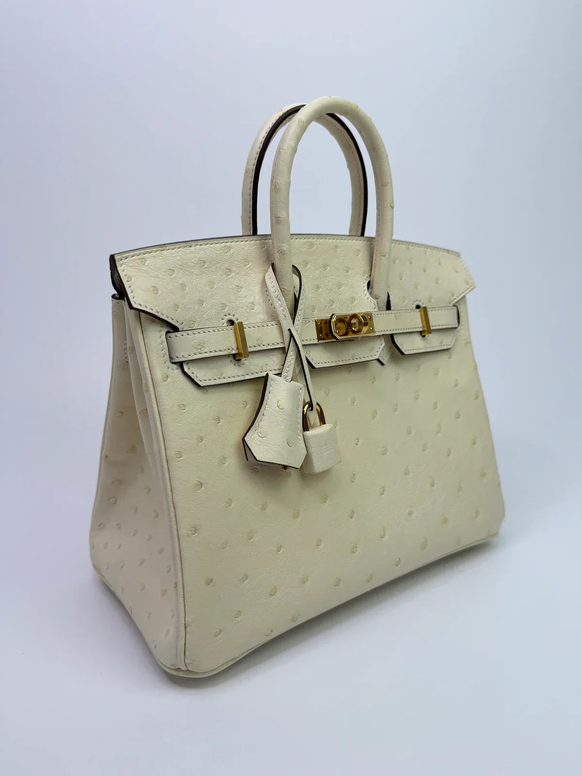 HERMÈS BIRKIN 25 IN NATA OSTRICH WITH GOLD HARDWARE