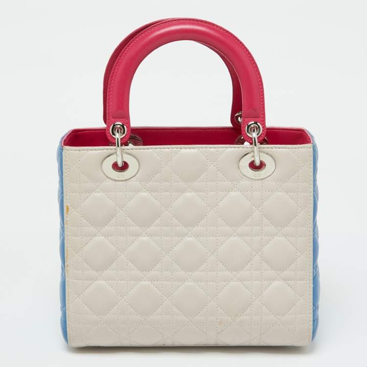 Dior Medium Lady Dior Tote – Multicolor