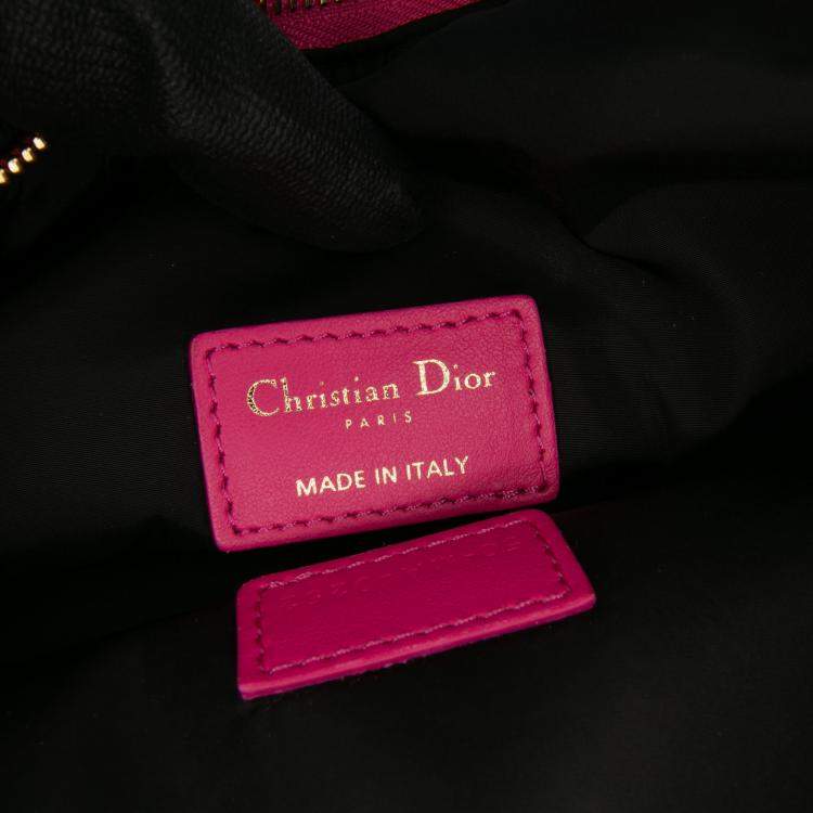 Dior Pink Pouch Bag
