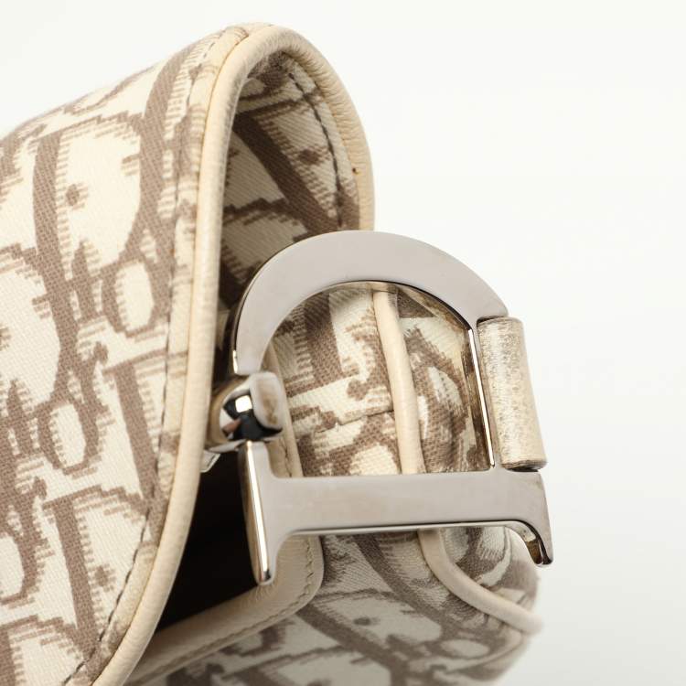 Dior Oblique Floral Embroidered Saddle Bag