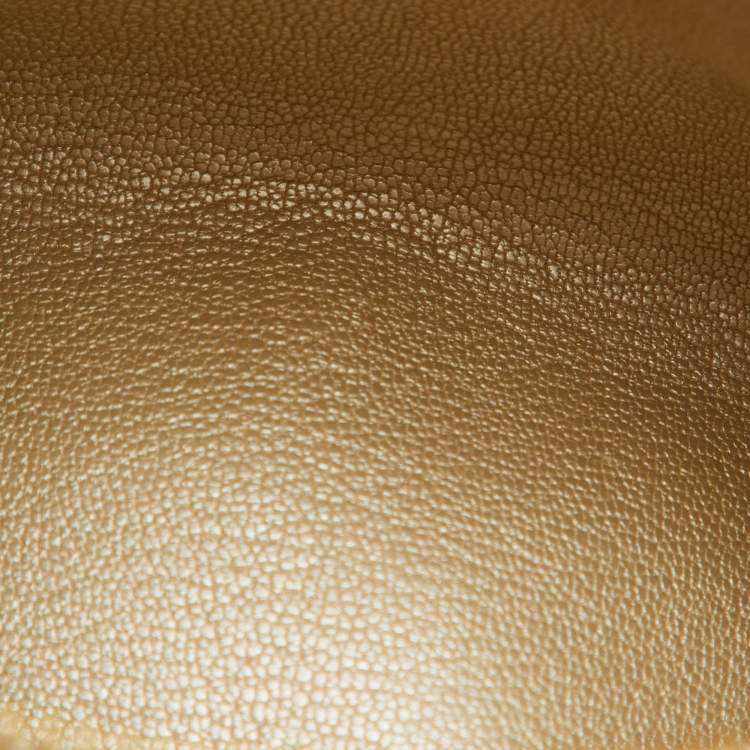 Louis Vuitton Mink Fur Nano Speedy Bag – Monogram Chain