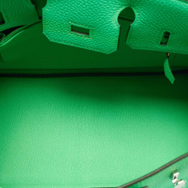Hermès Vert Comic Togo Leather Palladium Finish Birkin 25 Bag