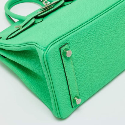 Hermès Vert Comic Togo Leather Palladium Finish Birkin 25 Bag