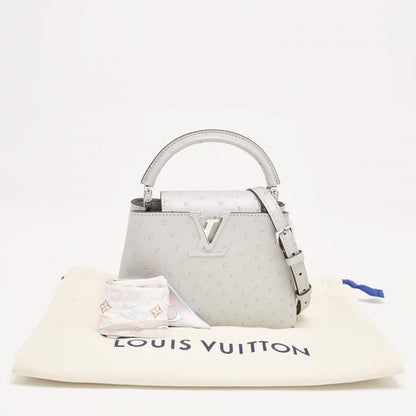 Louis Vuitton Capucines Mini Grey