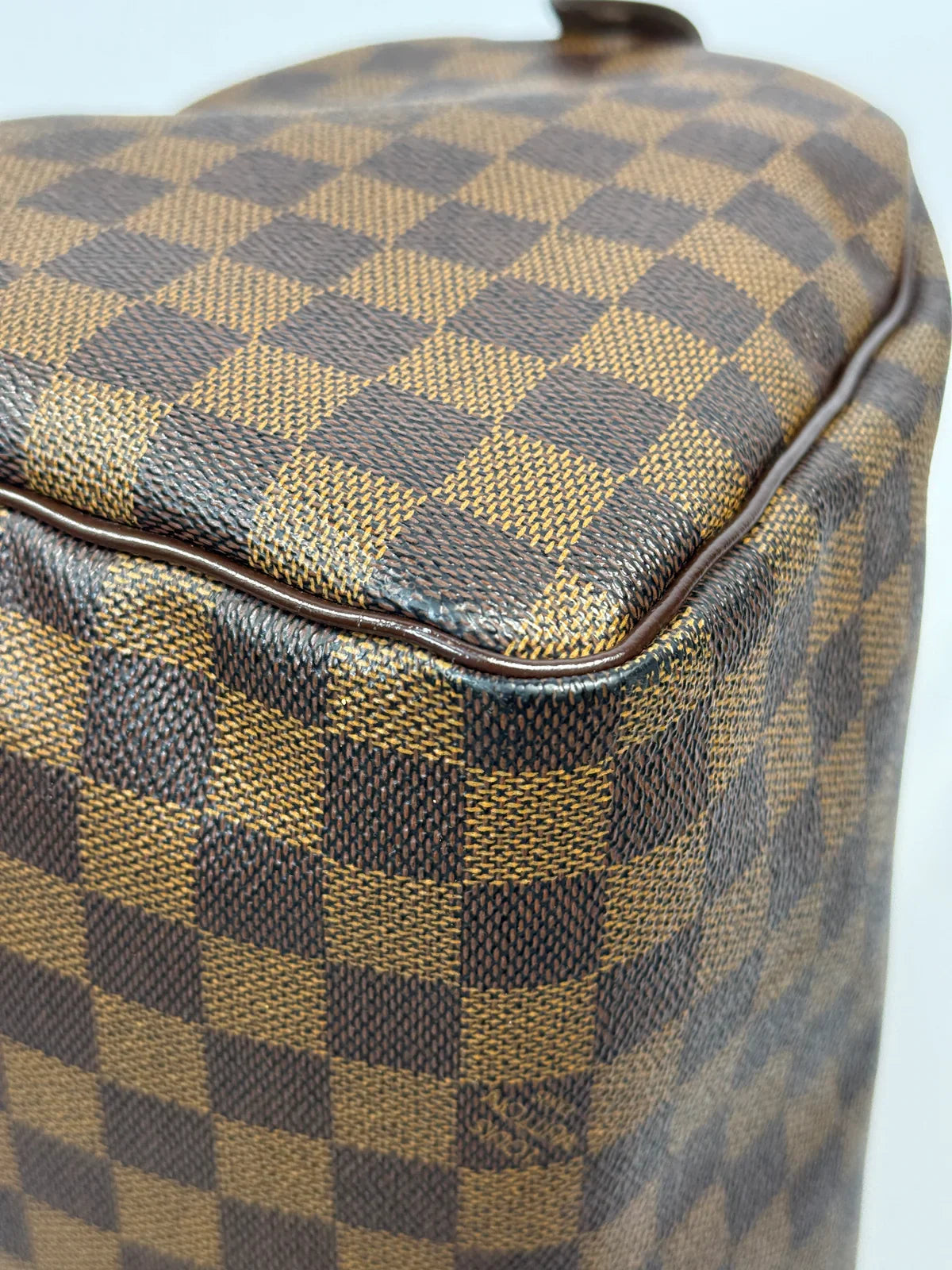 LOUIS VUITTON SPEEDY 30 BAG