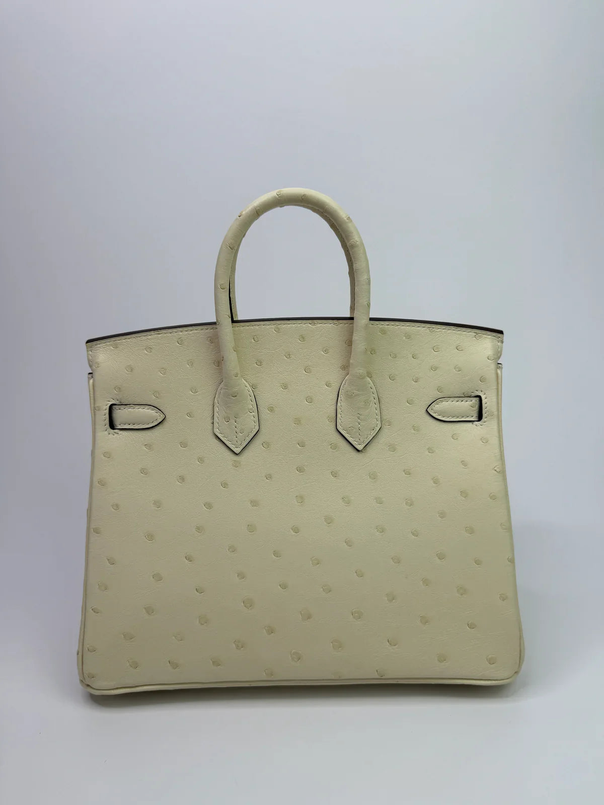 HERMÈS BIRKIN 25 IN NATA OSTRICH WITH GOLD HARDWARE