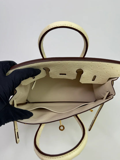 HERMÈS BIRKIN 25 IN NATA OSTRICH WITH GOLD HARDWARE