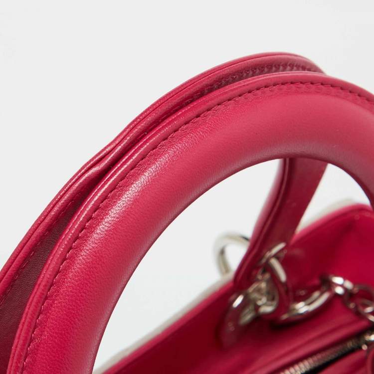 Dior Medium Lady Dior Tote – Multicolor