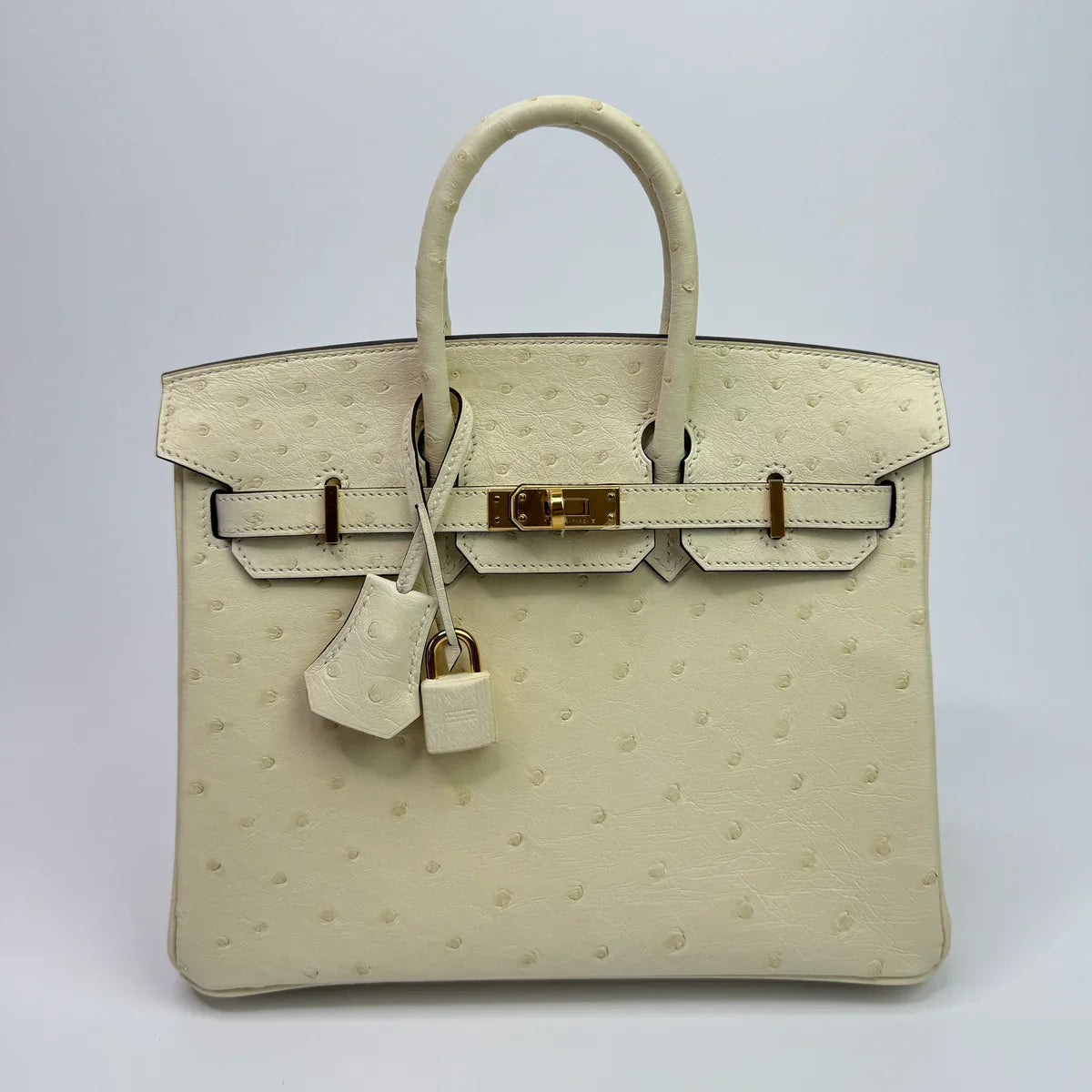 HERMÈS BIRKIN 25 IN NATA OSTRICH WITH GOLD HARDWARE