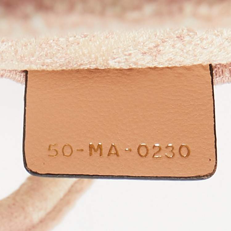 Dior Pink Embroidered Canvas Small Dioriviera Book Tote – Medium