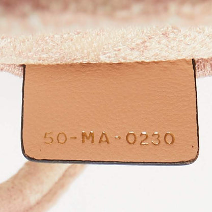 Dior Pink Embroidered Canvas Small Dioriviera Book Tote – Medium