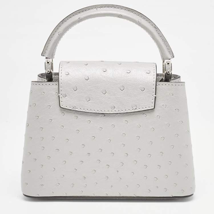 Louis Vuitton Capucines Mini Grey