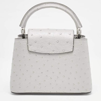 Louis Vuitton Capucines Mini Grey