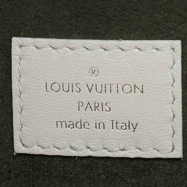 Louis Vuitton Monogram Coussin PM Bag