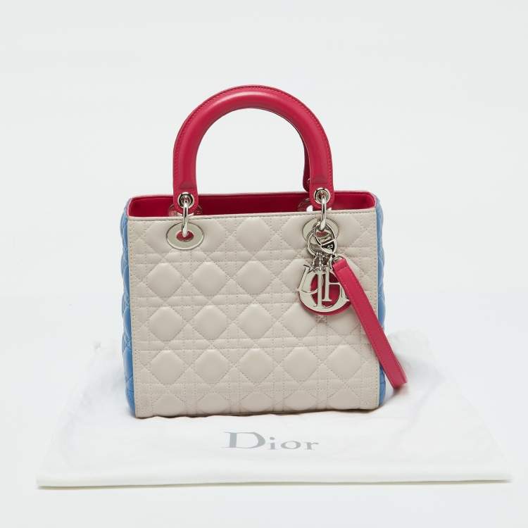 Dior Medium Lady Dior Tote – Multicolor