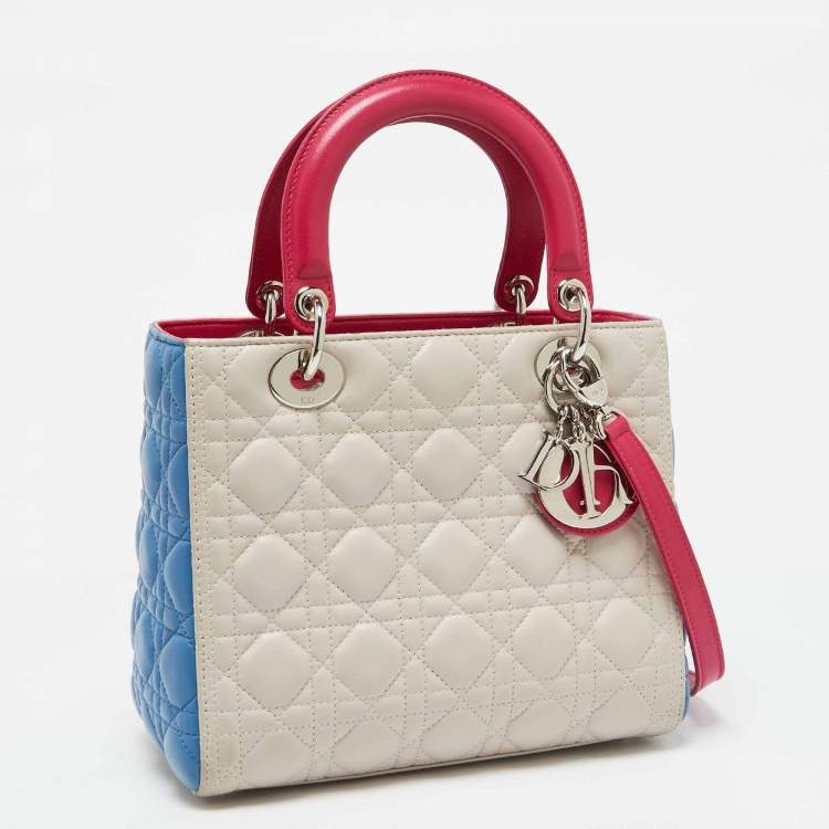 Dior Medium Lady Dior Tote – Multicolor