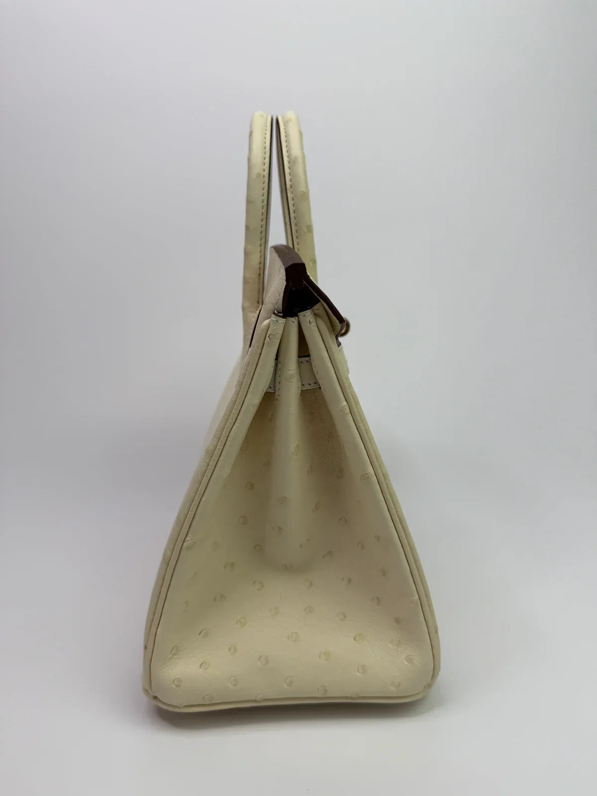 HERMÈS BIRKIN 25 IN NATA OSTRICH WITH GOLD HARDWARE