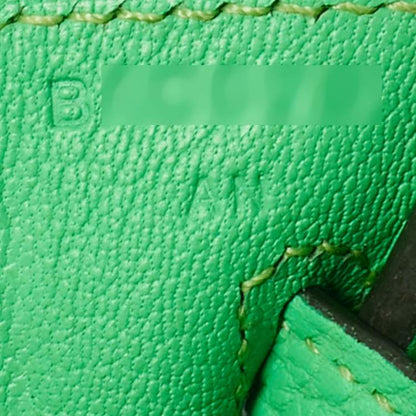 Hermès Vert Comic Togo Leather Palladium Finish Birkin 25 Bag
