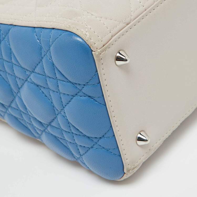 Dior Medium Lady Dior Tote – Multicolor