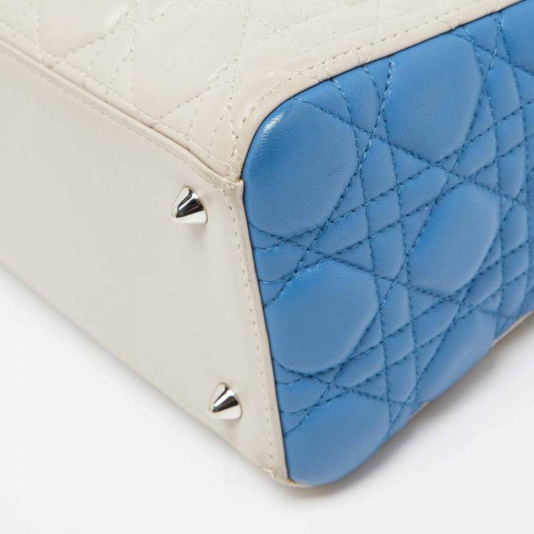 Dior Medium Lady Dior Tote – Multicolor