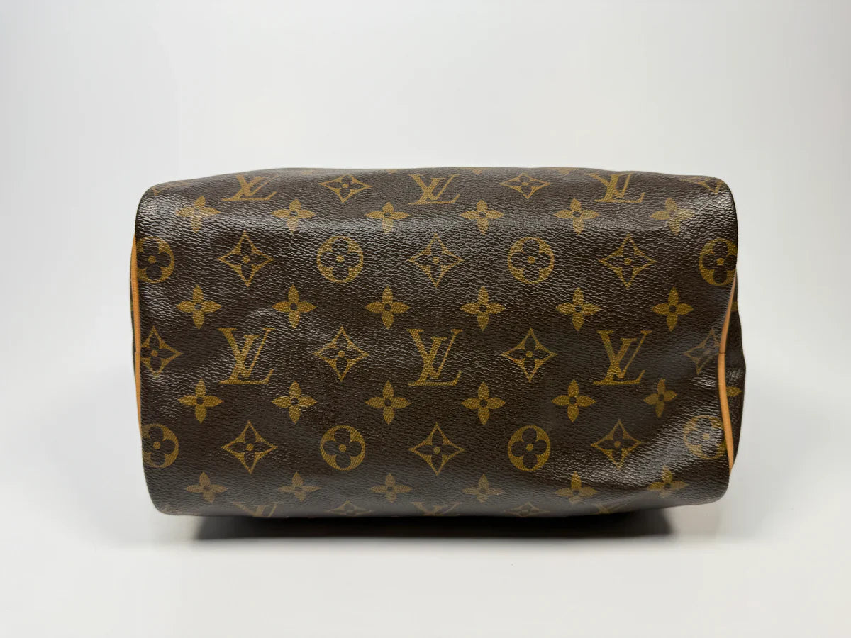 LOUIS VUITTON SPEEDY 25 BAG