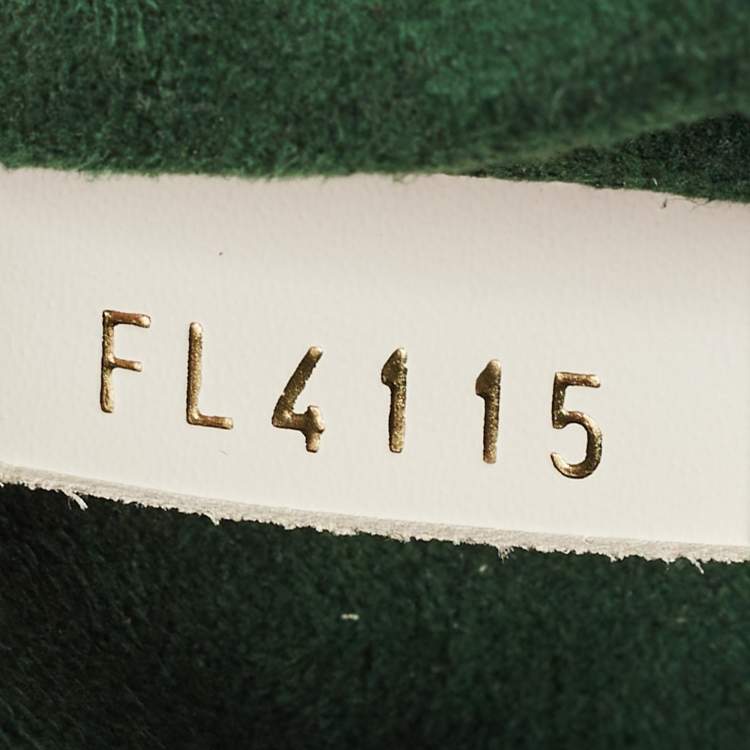 Louis Vuitton Vert Blanc Palm Print Monogram Twist MM Bag